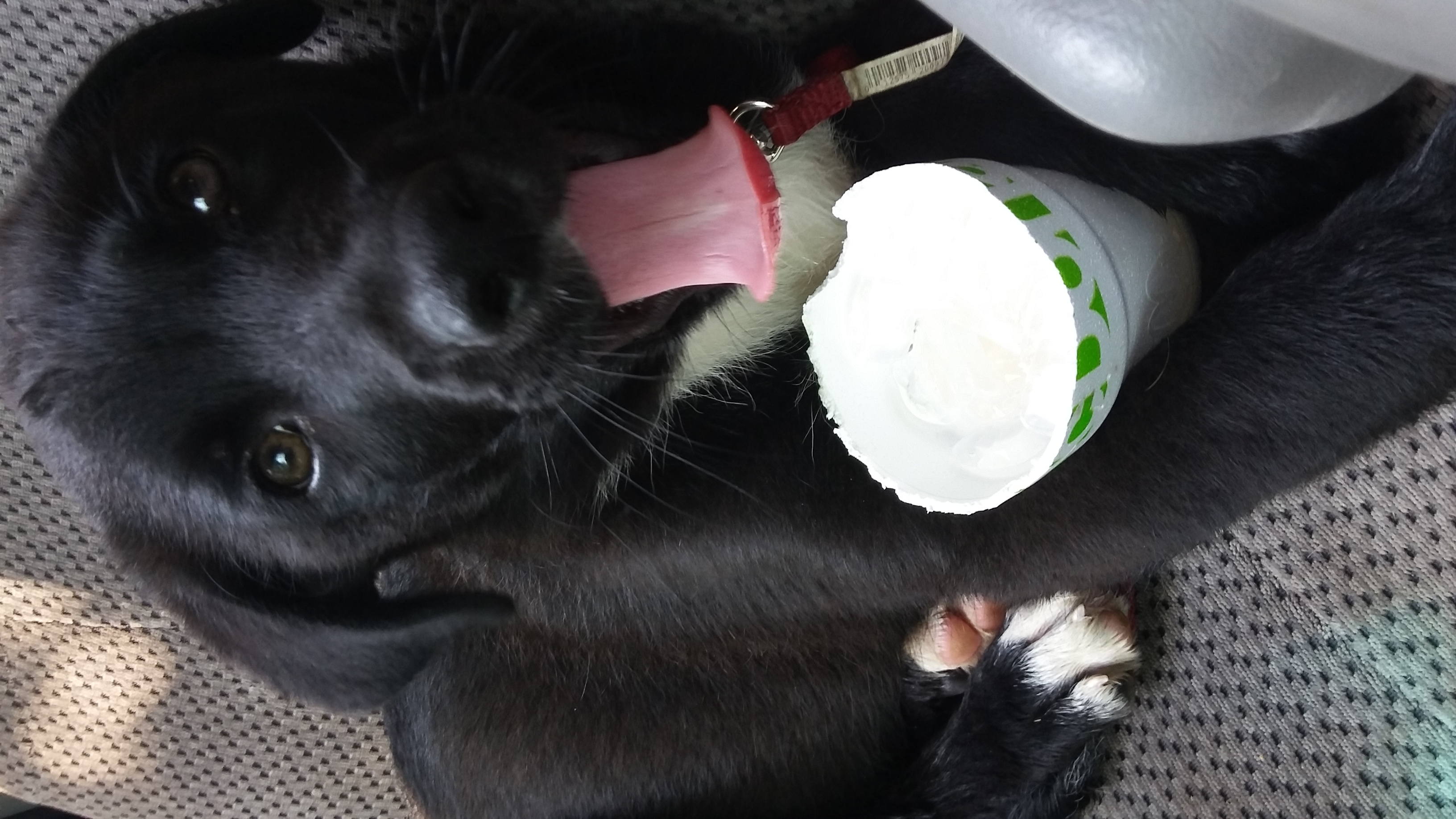 Testing department photo